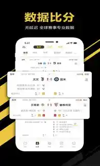 宋启言